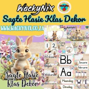 WackyNix_educational resources_class_decor_hasie